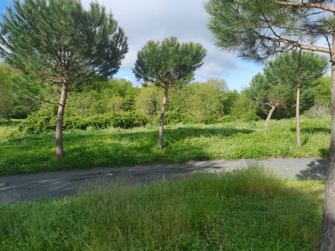 4 Entreprise d'entretien jardin et parc à Cahors