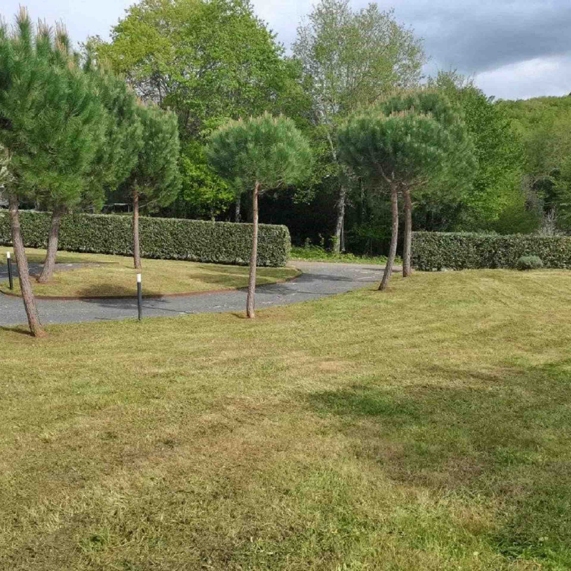 arbre Entreprise d'entretien jardin et parc à Cahors