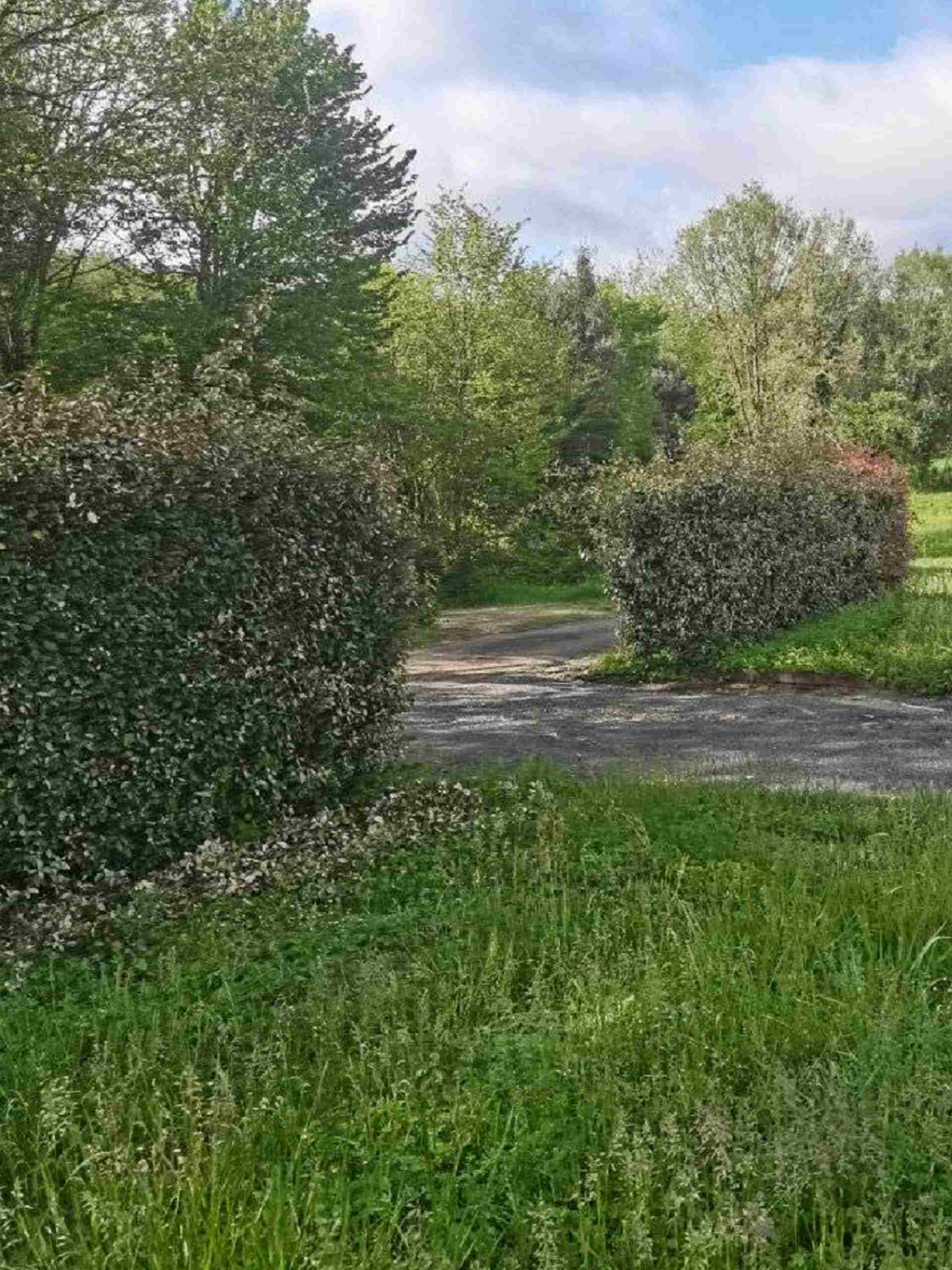 entretien de jardin Entreprise d'entretien jardin et parc à Cahors